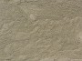 6.33- Des algues recouvertes de sediments ondulent dans l'eau